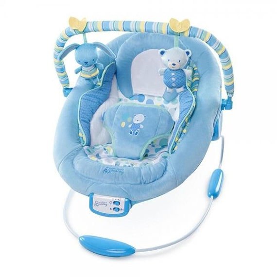 Car Seat & Accessories