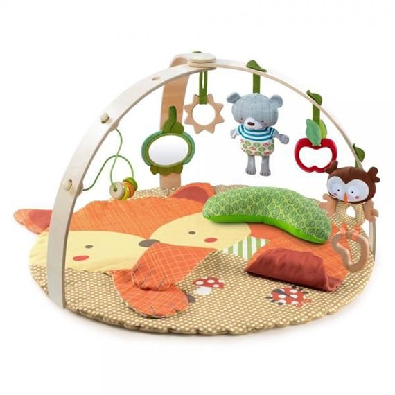 Baby & Toddler Toys